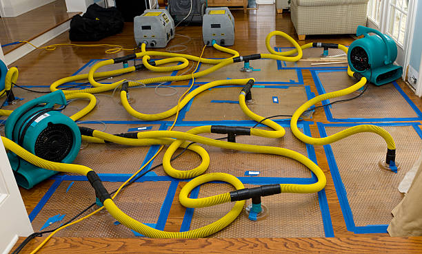 Professional Basement Flood Cleanup technician working in Delmar, MD